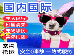大庆萨尔图机场托运国际宠物托运 【国